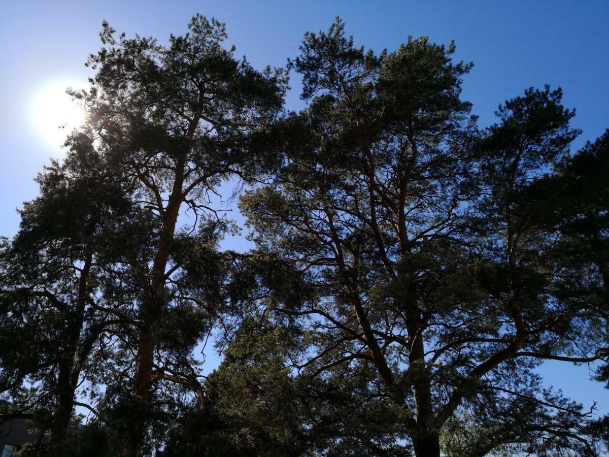 Charming Pine View Apartment Vantaa Esterno foto
